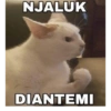 NJALUK DIANTEMI