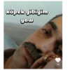 Yalı çapkını 5