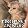 necesito un APAPACHO