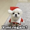 @Harley_Stickers Y mi regalo?