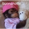 Meme italiani 18