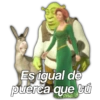 Shrek 1 29