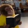 Macaquinhos 7