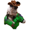 Memes randoms 6