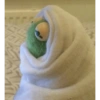 Kermit the frog 8