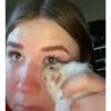 Stickers de hamsters 15