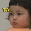 TA 20