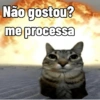 GATINHOS ZOEIROS 7