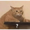 Memes moods 14