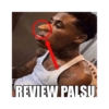 REVIEW PALSU
