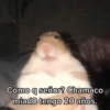Como q señor? Chamaco miado tengo 20 años.