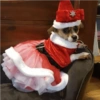 Animalitos Navideños 7