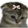 🎀🐵🐈‍⬛ 9