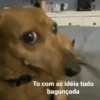 Aleatórias 4 17