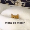 Egatite geld Hora de mimir