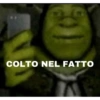 COLTO NEL FATTO