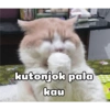 G kutonjok pala kau