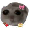 Sad Hamster 6