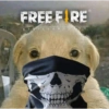 Perros 8