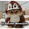 İyi gecelers 19