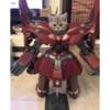 Gatinhos 23