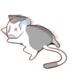Kucing kaget #4 13