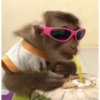 MOnKey reaCtioNs 🐵😝🧃 20