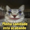 GATINHOS ZOEIROS 9