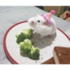 Cute 5