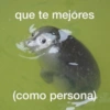 💕Animalitos con frases💕 8
