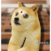 Cheems telugu 4.0 18