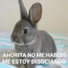 🫨Animalitos reacciones🫨 13