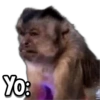 Yo: eva &