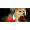 mt