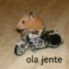 ola jente