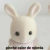 🙂‍↕️SYLVANIAN MEMES 😎 8
