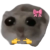 Sad Hamster 10