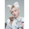 Felix skz 15