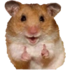 Stickers de hamsters 8