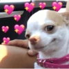 Só pros apaixonados 💖🫶🏼 14