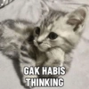 GAK HABIS THINKING