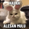 HALAH ALESAN MULU