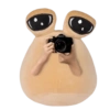 POU SAD 16