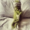 Kermit the frog 24