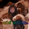 Kundi 11