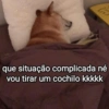 Surtos do dia a dia 12