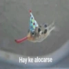 Hay ke alocarse