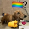 ८