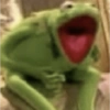 Kermit the frog 26