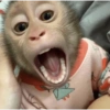 🎀🐵🐈‍⬛ 22